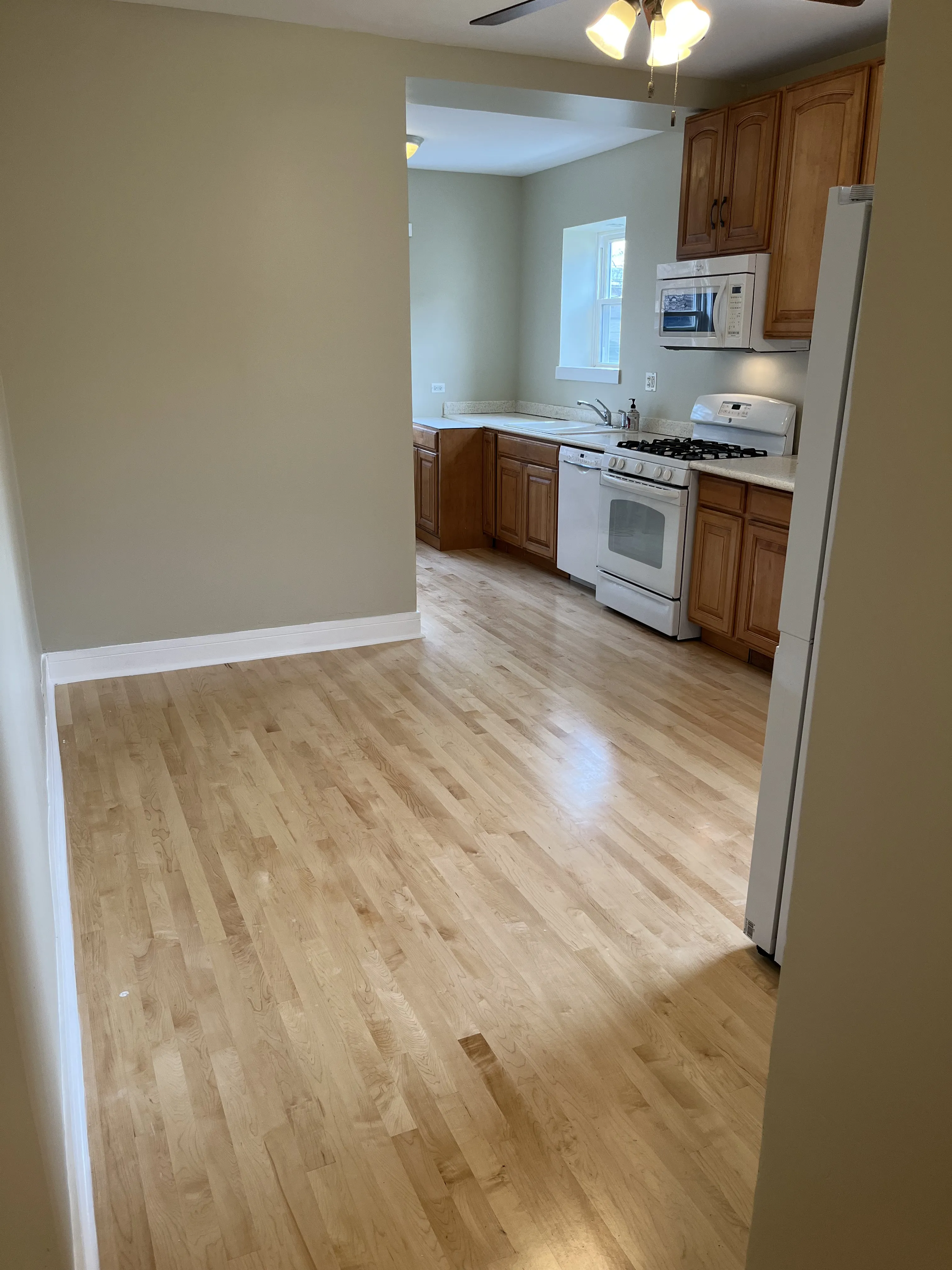 1521 W JUNEWAY TER 60626-unit#1-W-Chicago-IL