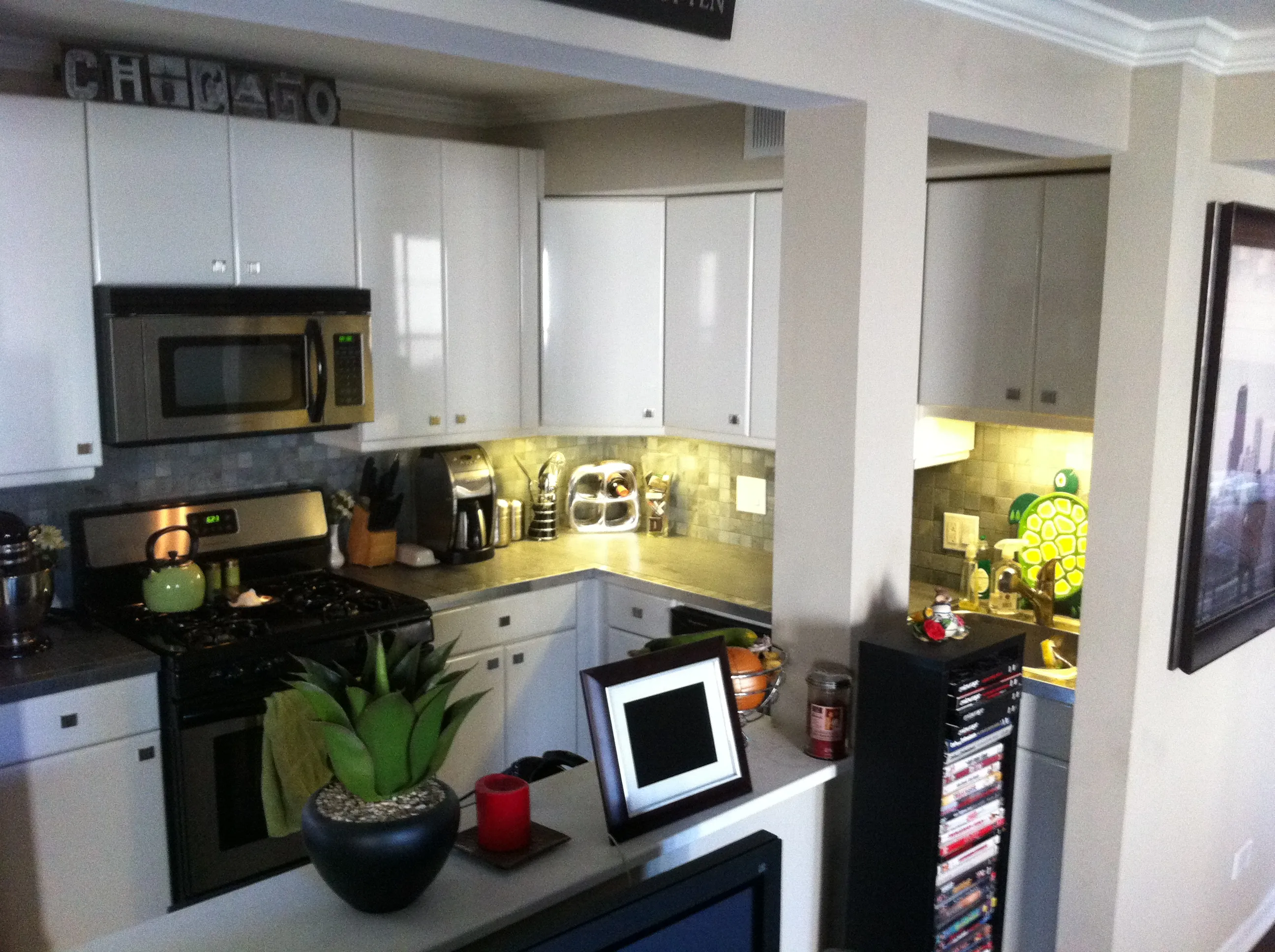 1920 W DICKENS AVE 60614-unit#2C-Chicago-IL