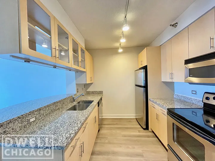 1255 S MICHIGAN AVE 60605-unit#1-Chicago-IL