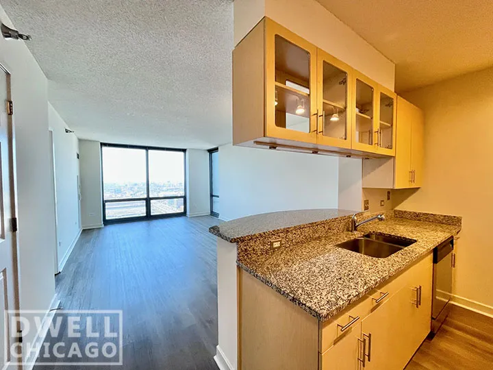 1255 S MICHIGAN AVE 60605-unit#1-Chicago-IL