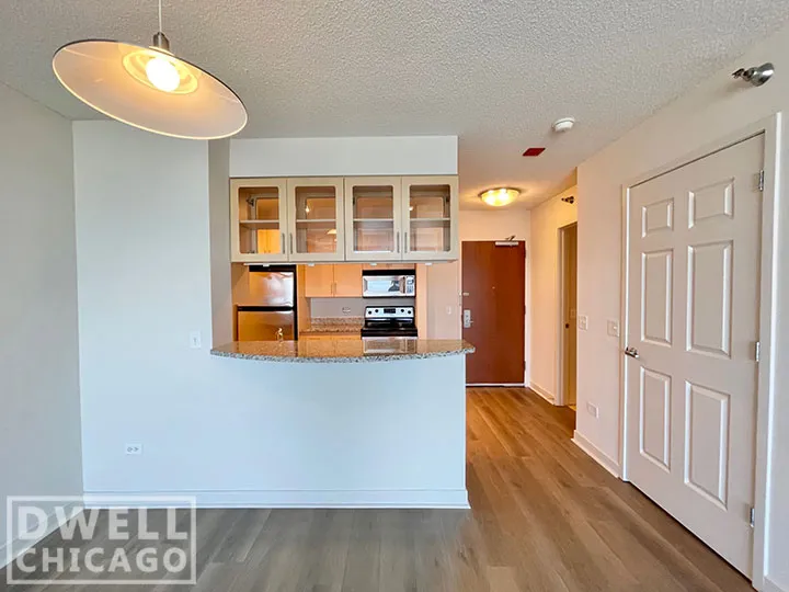 1255 S MICHIGAN AVE 60605-unit#1-Chicago-IL