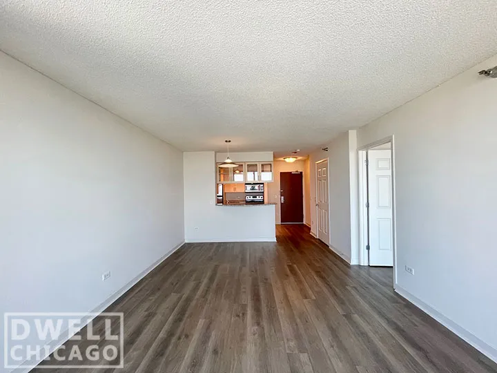 1255 S MICHIGAN AVE 60605-unit#1-Chicago-IL