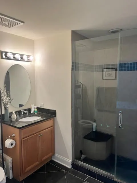 500 N DAMEN AVE 60622-unit#0205-Chicago-IL