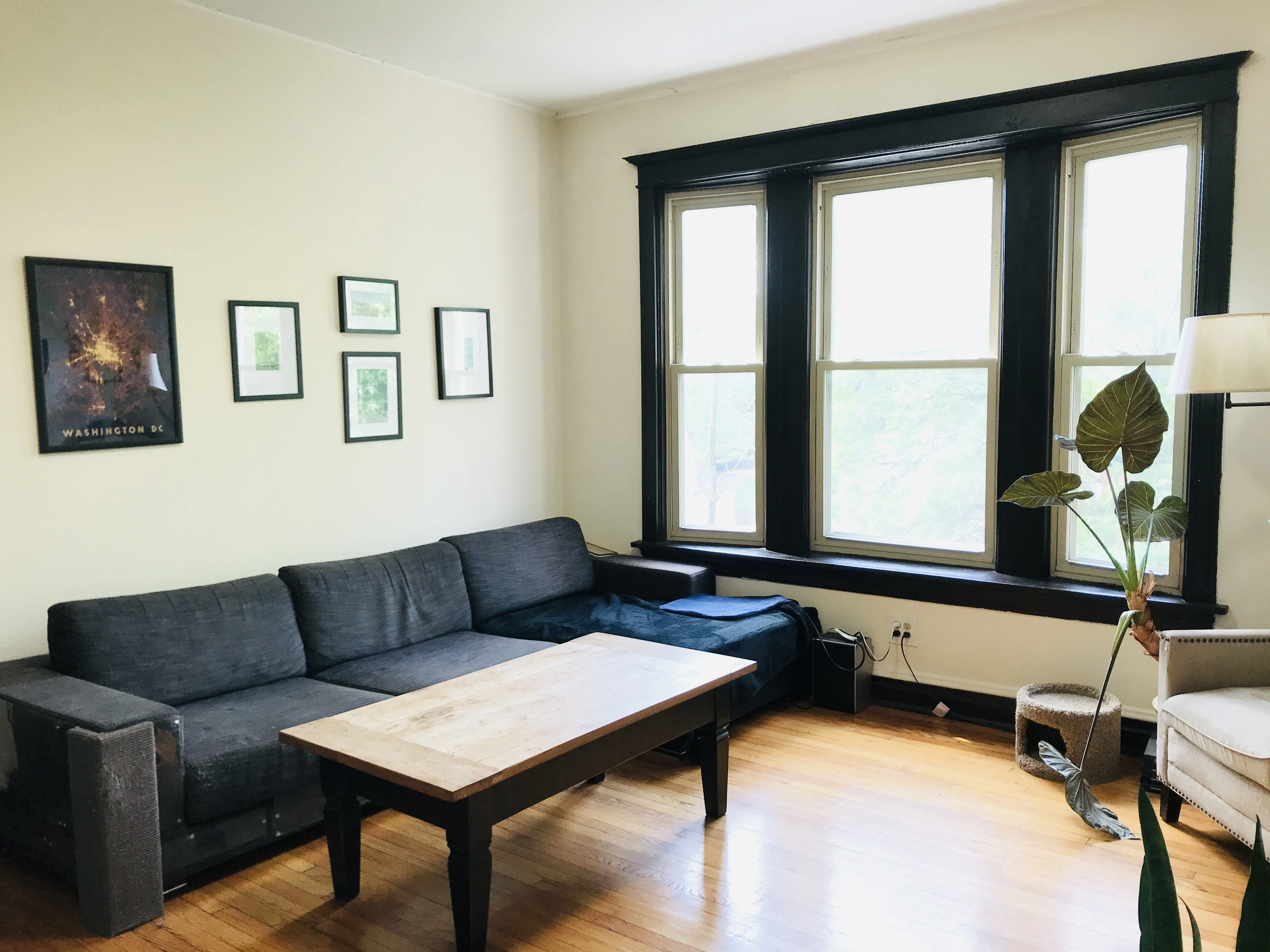 3320 W ALTGELD ST 60647-unit#2-Chicago-IL