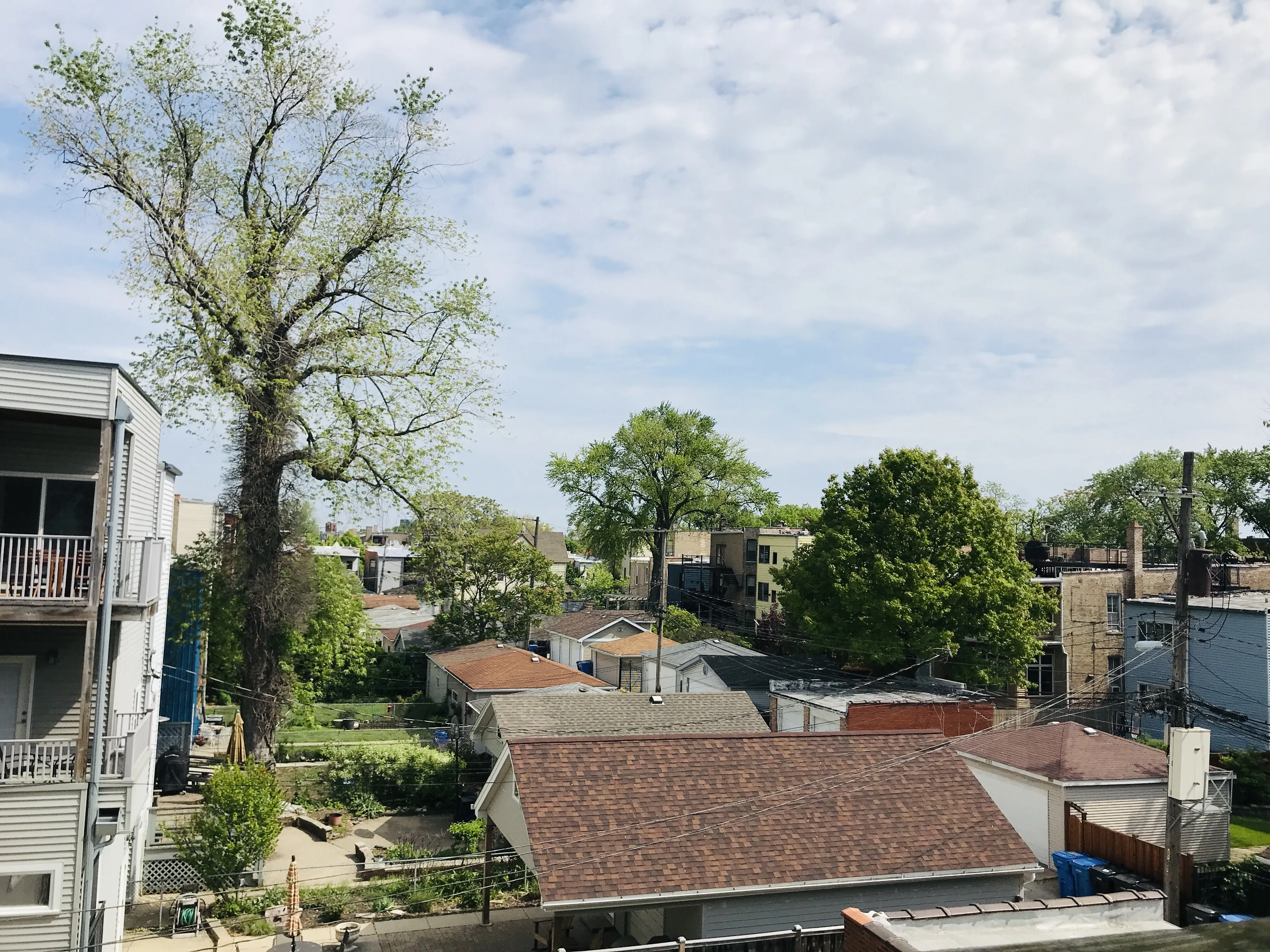 3320 W ALTGELD ST 60647-unit#2-Chicago-IL