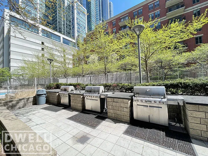 1255 S MICHIGAN AVE 60605-unit#1-Chicago-IL