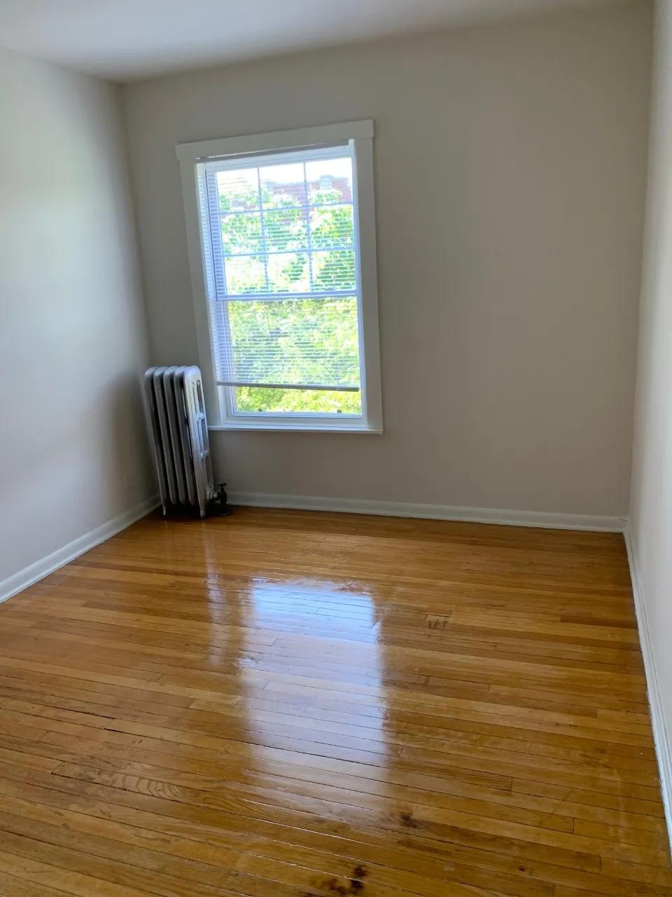 1600 W ALBION AVE 60626-unit#2P-Chicago-IL