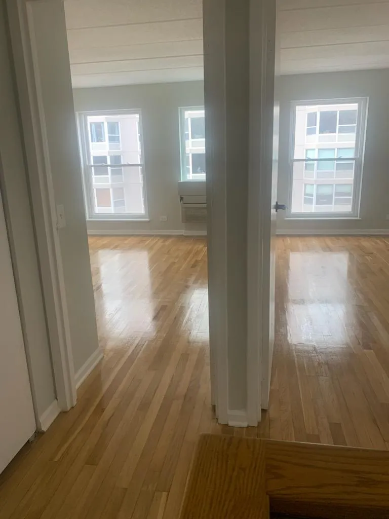 711 W GORDON TER 60613-unit#509-Chicago-IL