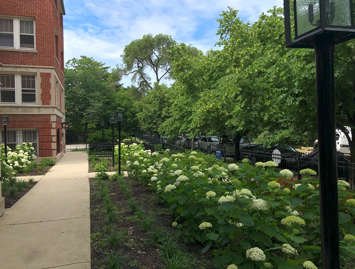 4520 N MALDEN ST 60640-unit#101-Chicago-IL