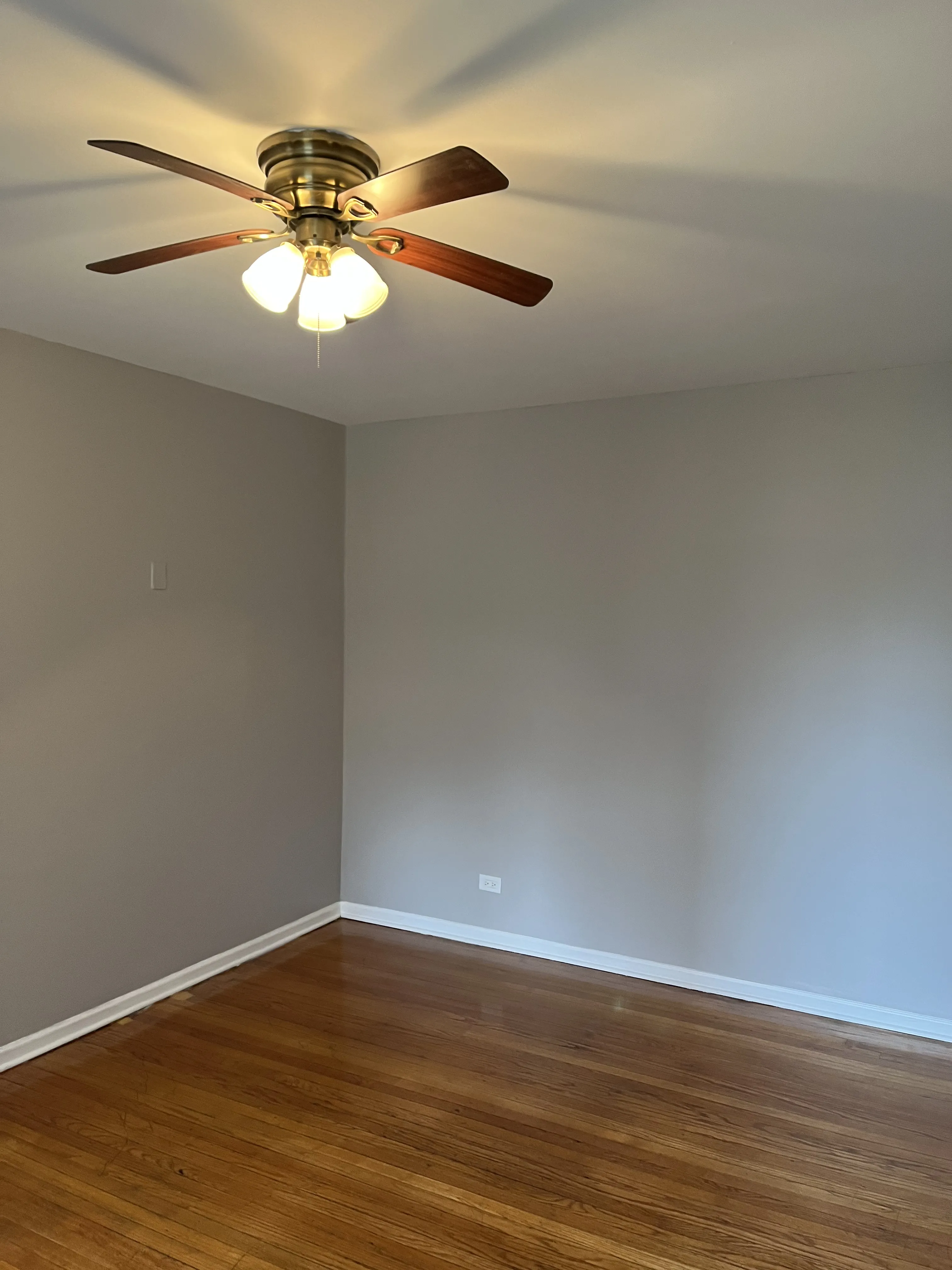 7933 S WOODLAWN AVE 60619-unit#1E-Chicago-IL