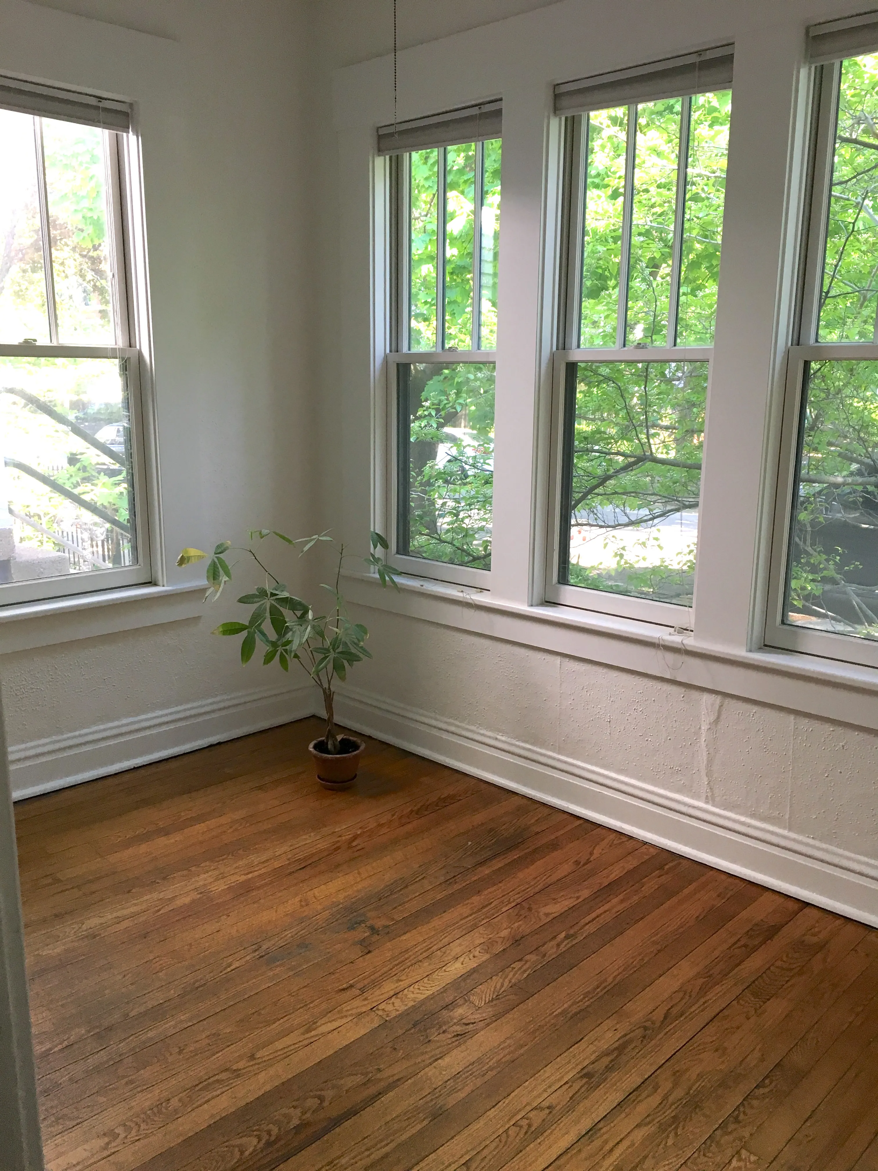 1242 W NELSON ST 60657-unit#1F-Chicago-IL