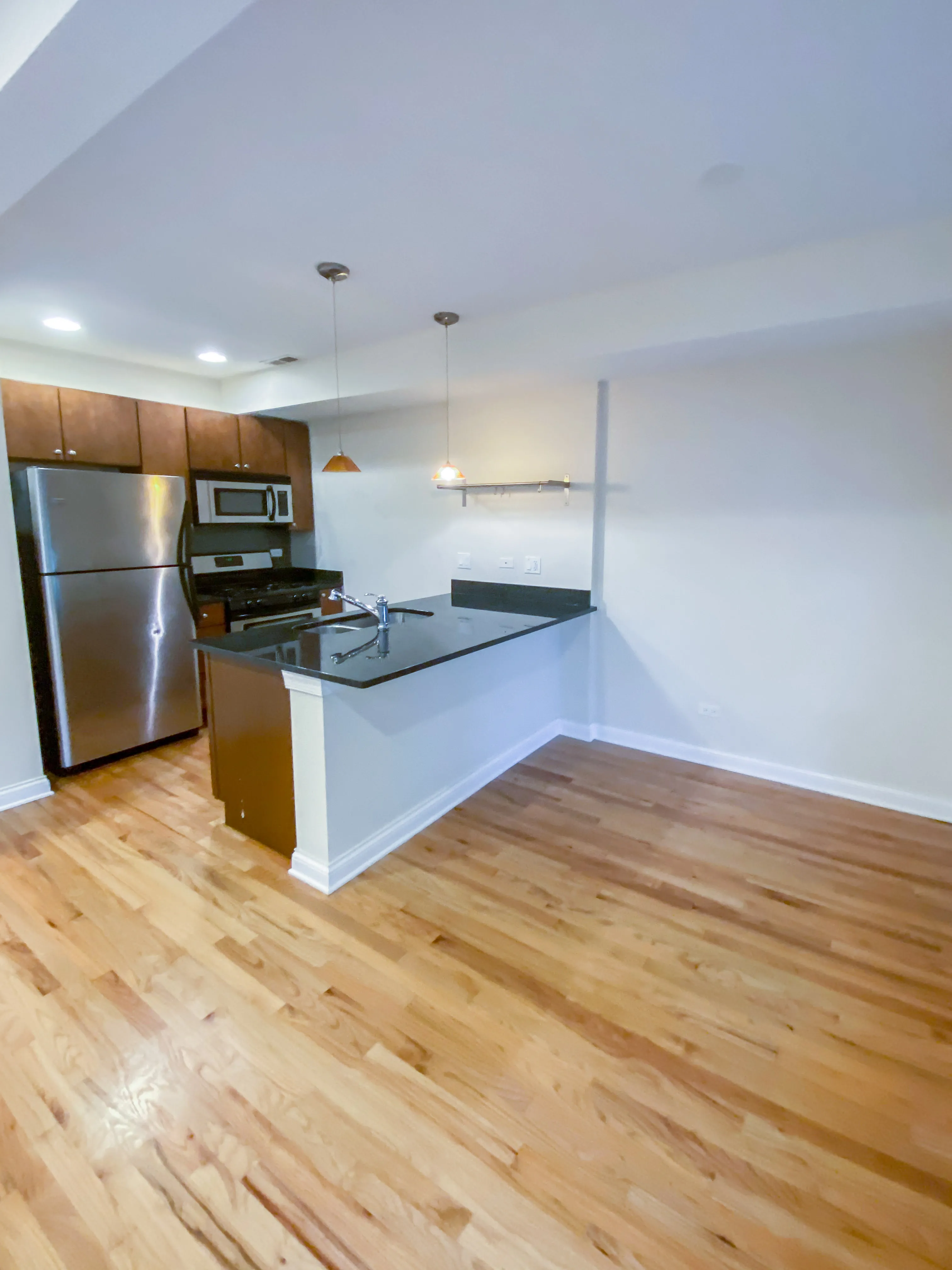 1634 W GRACE ST 60613-unit#1-Chicago-IL