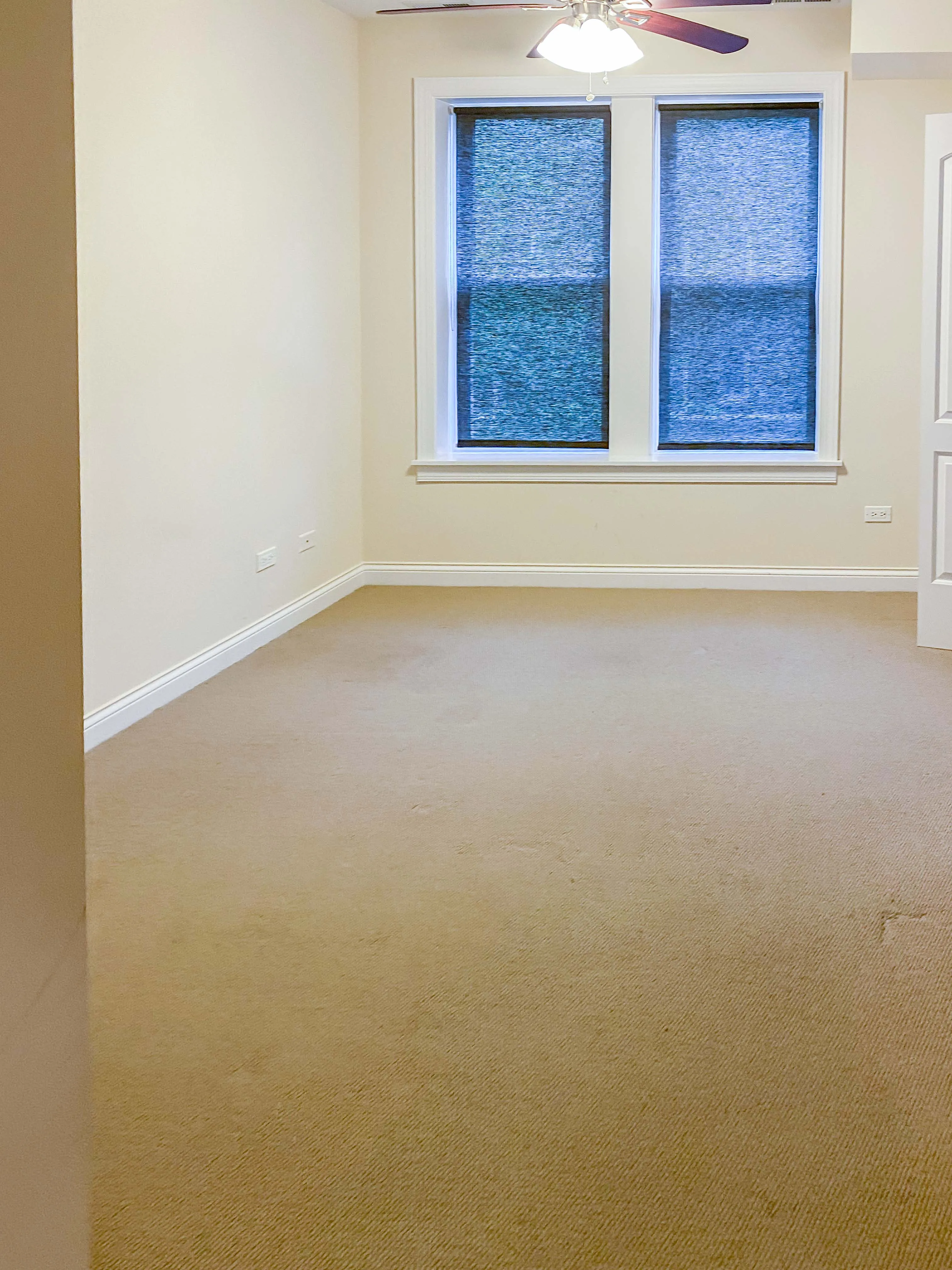 1634 W GRACE ST 60613-unit#1-Chicago-IL