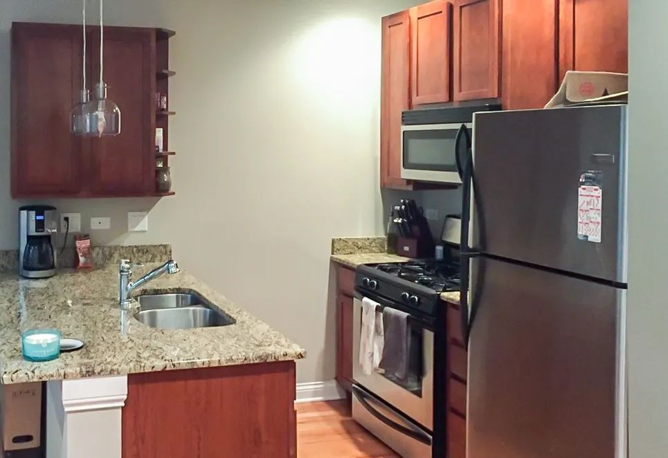 1634 W GRACE ST 60613-unit#1-Chicago-IL