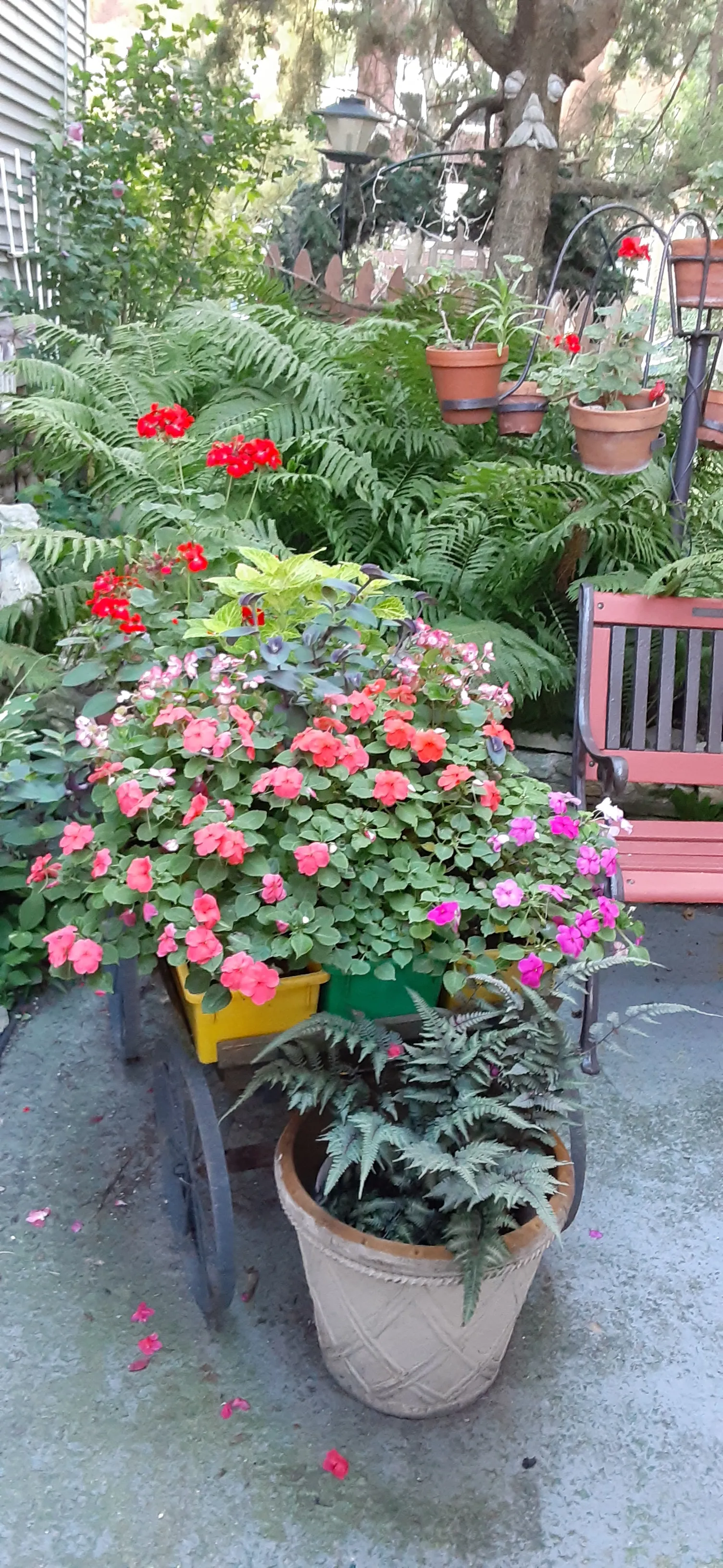 1244 W GRANVLE AVE 60660-unit#Grdn-Chicago-IL