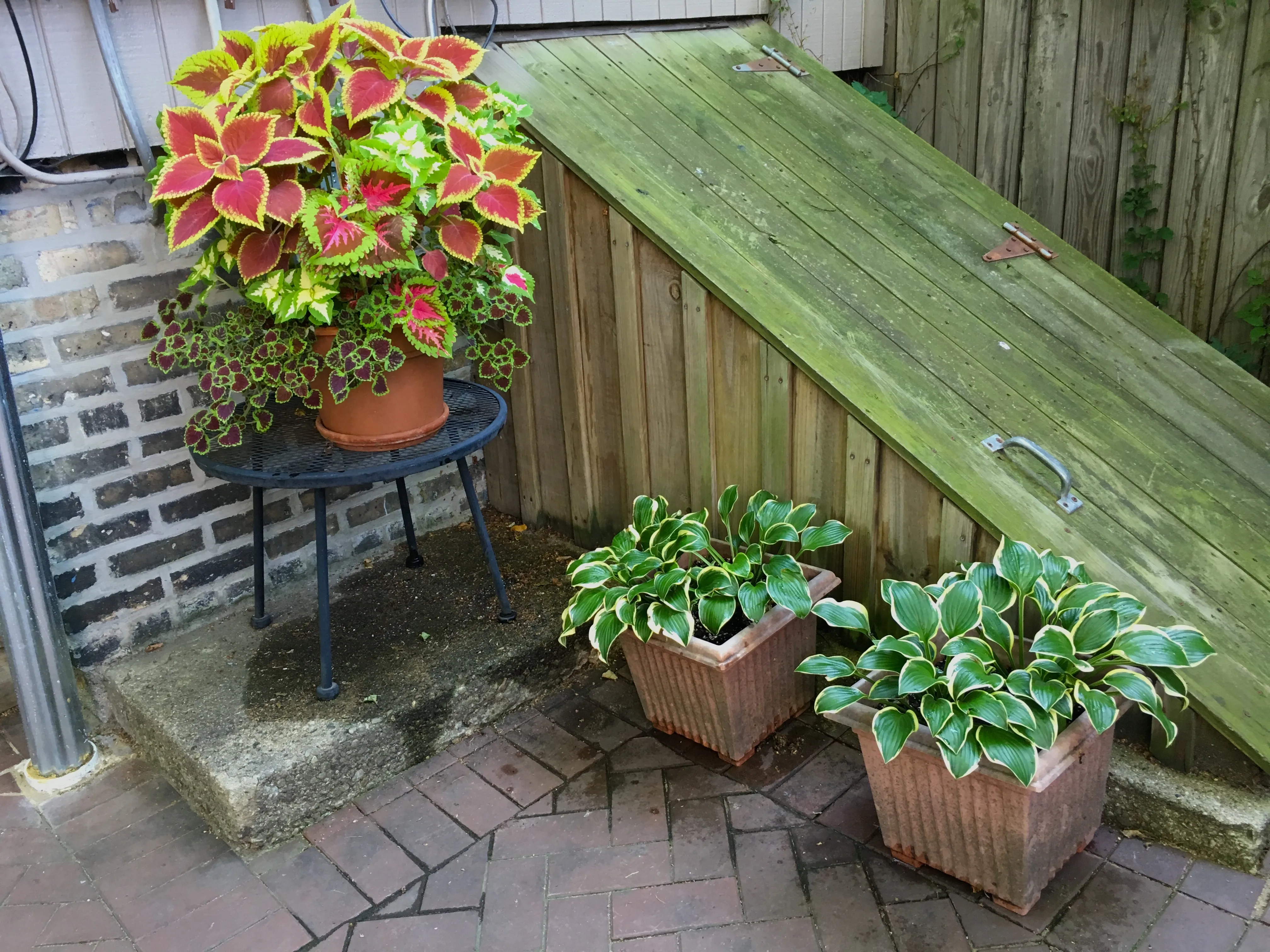 1242 W NELSON ST 60657-unit#1F-Chicago-IL