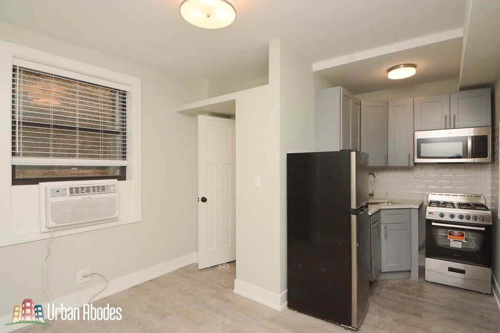 505 W BELMONT AVE 60657-unit#E3-Chicago-IL