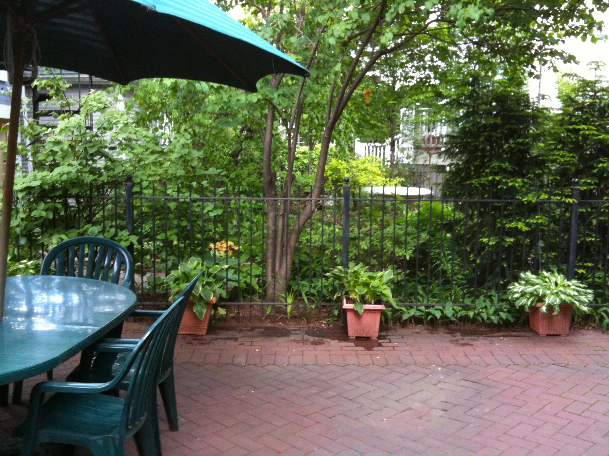 1242 W NELSON ST 60657-unit#1F-Chicago-IL