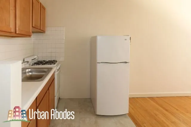 1050 W GEORGE ST 60657-unit#107-Chicago-IL