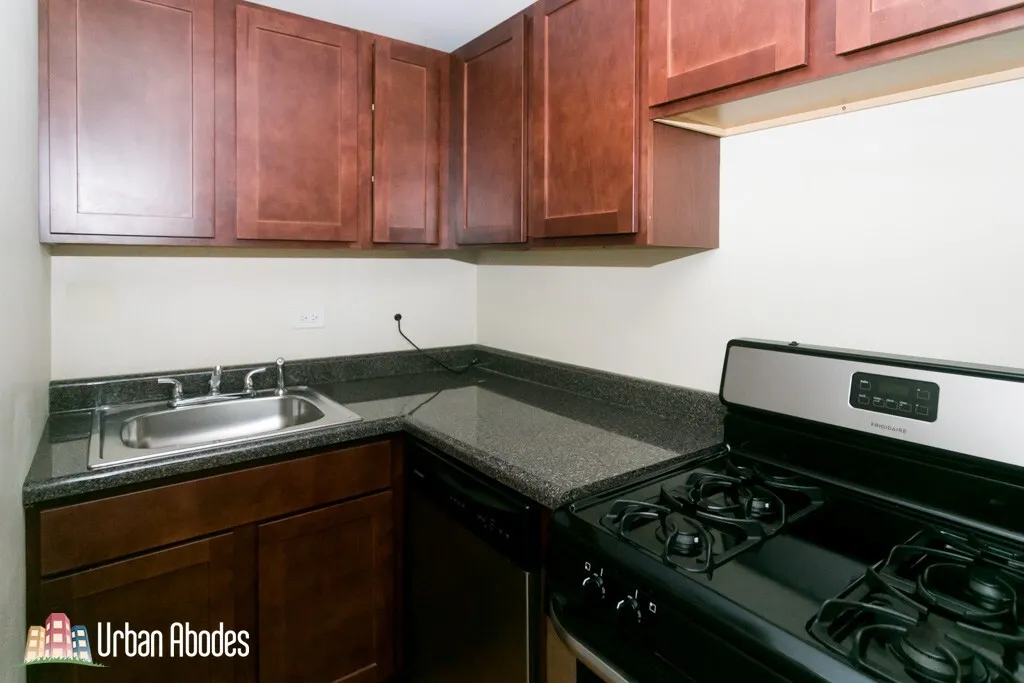 1347 N DEARBORN ST 60610-unit#100-Chicago-IL