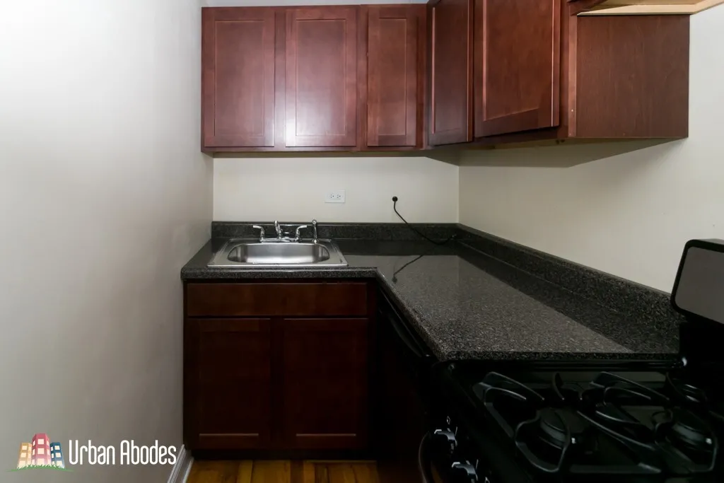 1347 N DEARBORN ST 60610-unit#100-Chicago-IL