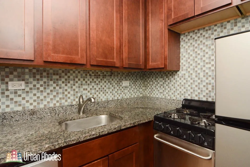 550 W ARLINGTON PL 60614-unit#307-Chicago-IL