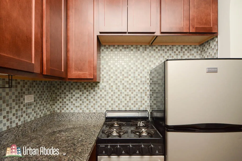 550 W ARLINGTON PL 60614-unit#307-Chicago-IL