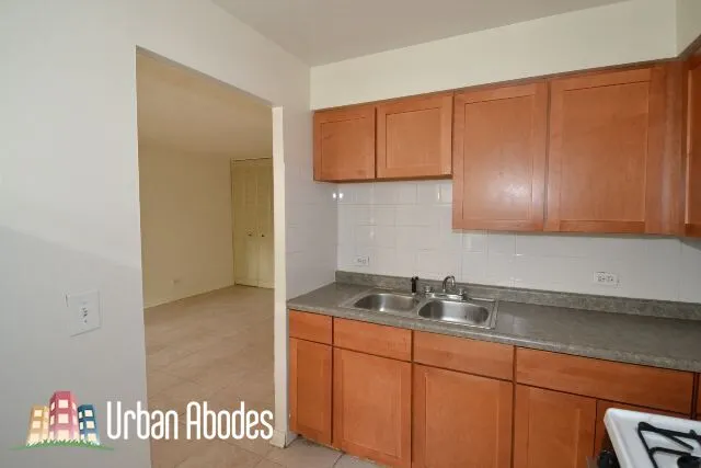 510 W BRIAR AVE 60657-unit#102-Chicago-IL