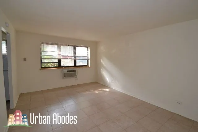 510 W BRIAR AVE 60657-unit#102-Chicago-IL