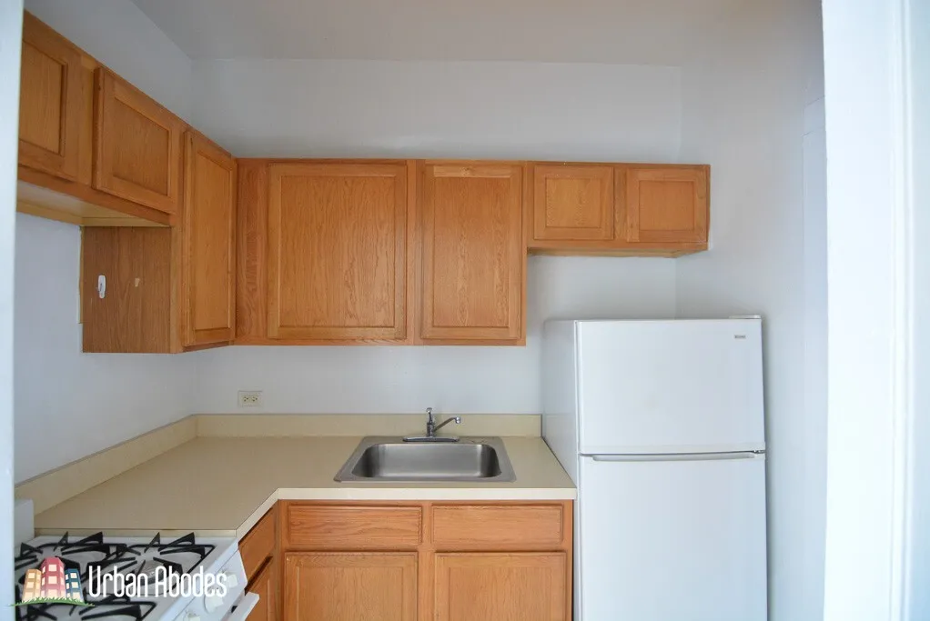 1164 N DEARBORN ST 60610-unit#205-Chicago-IL