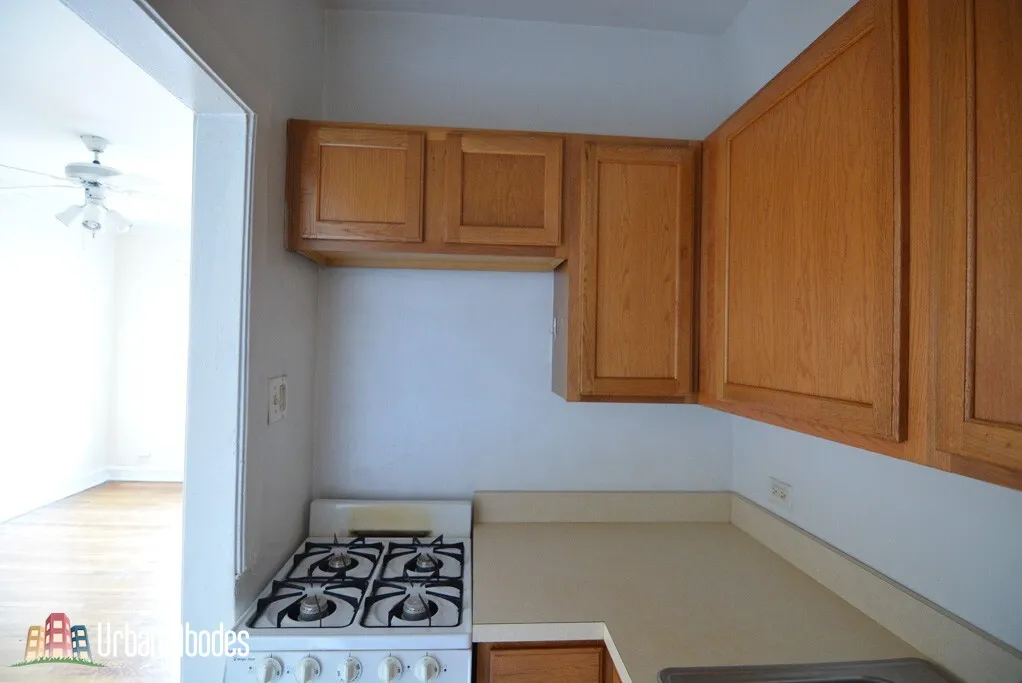 1164 N DEARBORN ST 60610-unit#205-Chicago-IL