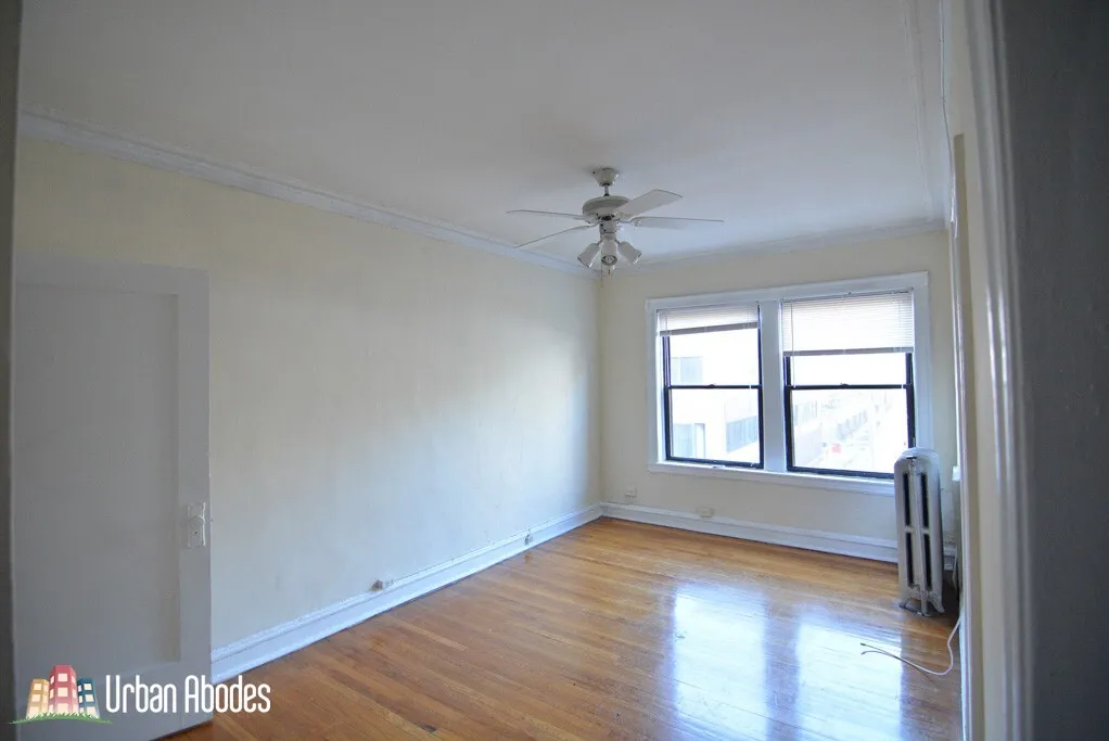 1164 N DEARBORN ST 60610-unit#205-Chicago-IL