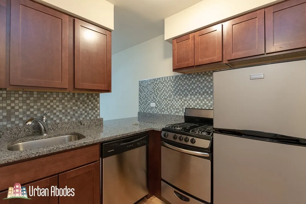 445 W BARRY AVE 60657-unit#223-Chicago-IL