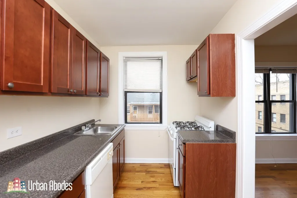 1137  OAK AVE 60202-unit#W4-Evanston-IL