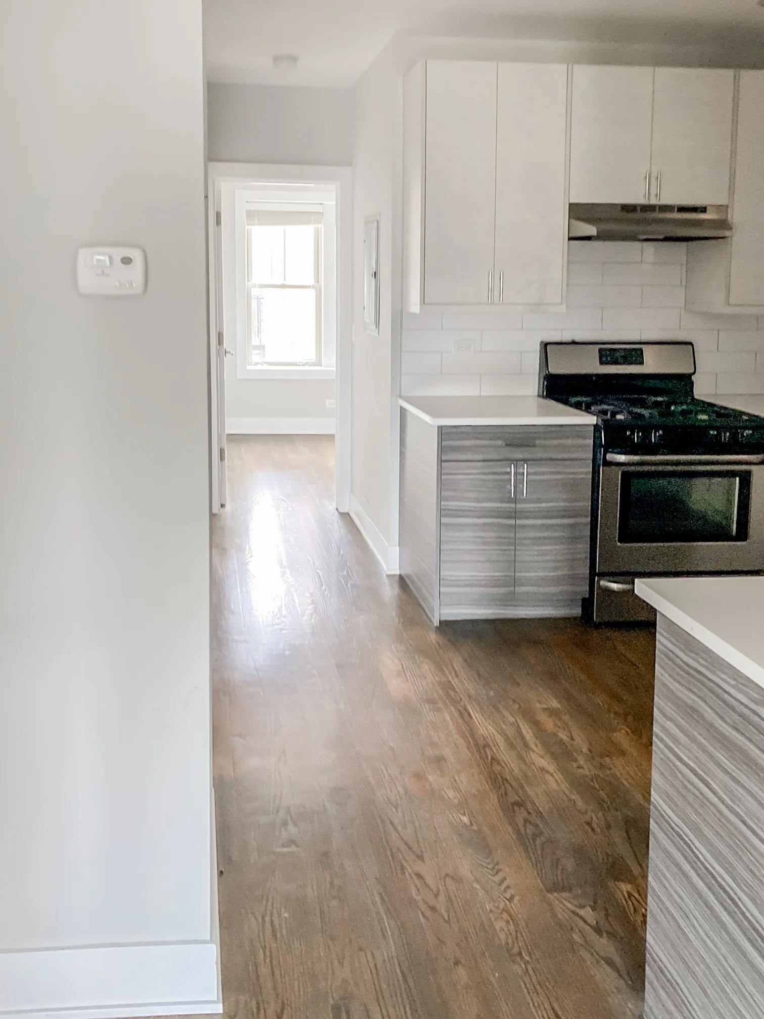 3917 N JANSSEN AVE 60613-unit#3-Chicago-IL