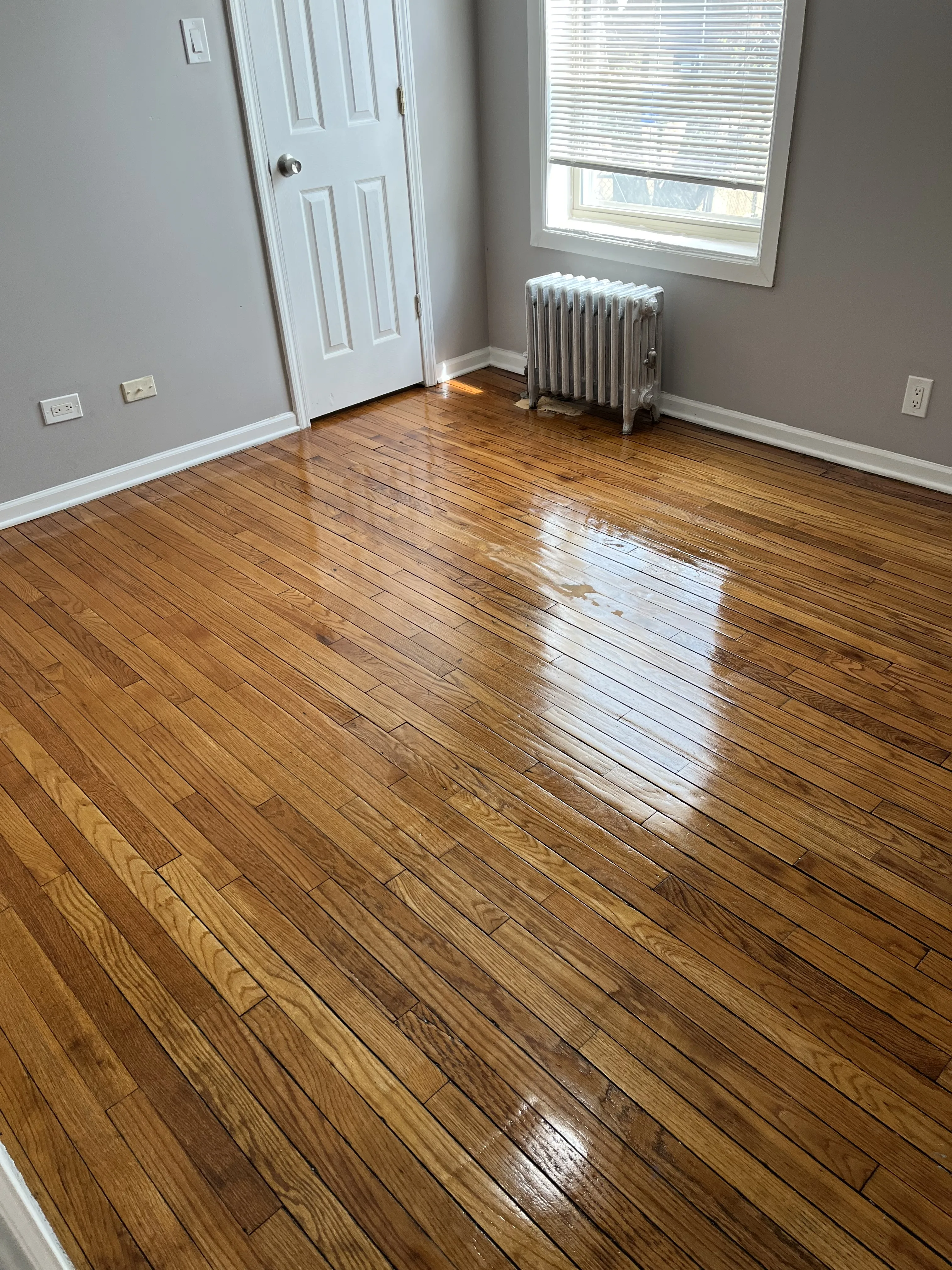 7933 S WOODLAWN AVE 60619-unit#1E-Chicago-IL