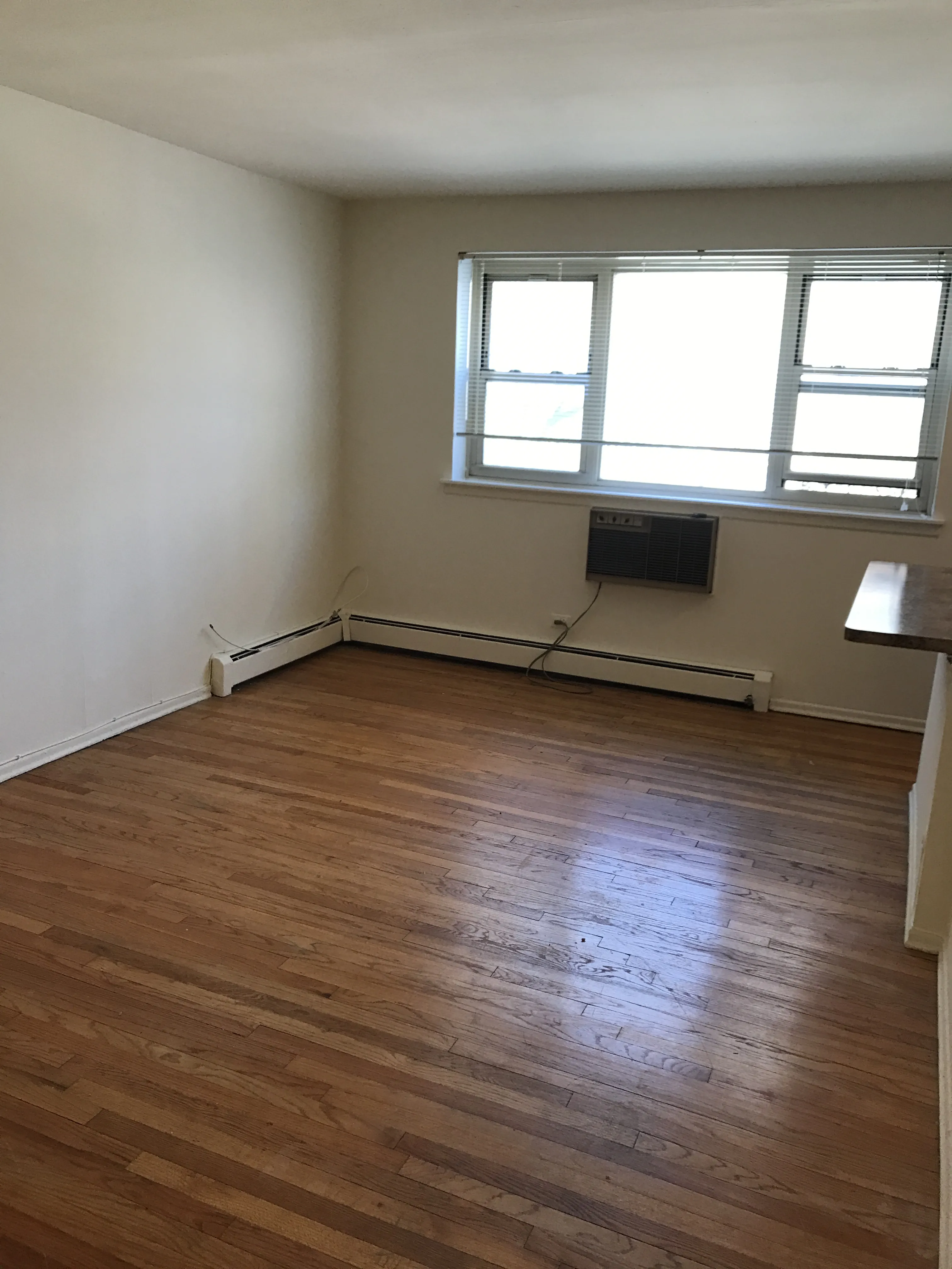 535 W BRIAR PL 60657-unit#S-Chicago-IL