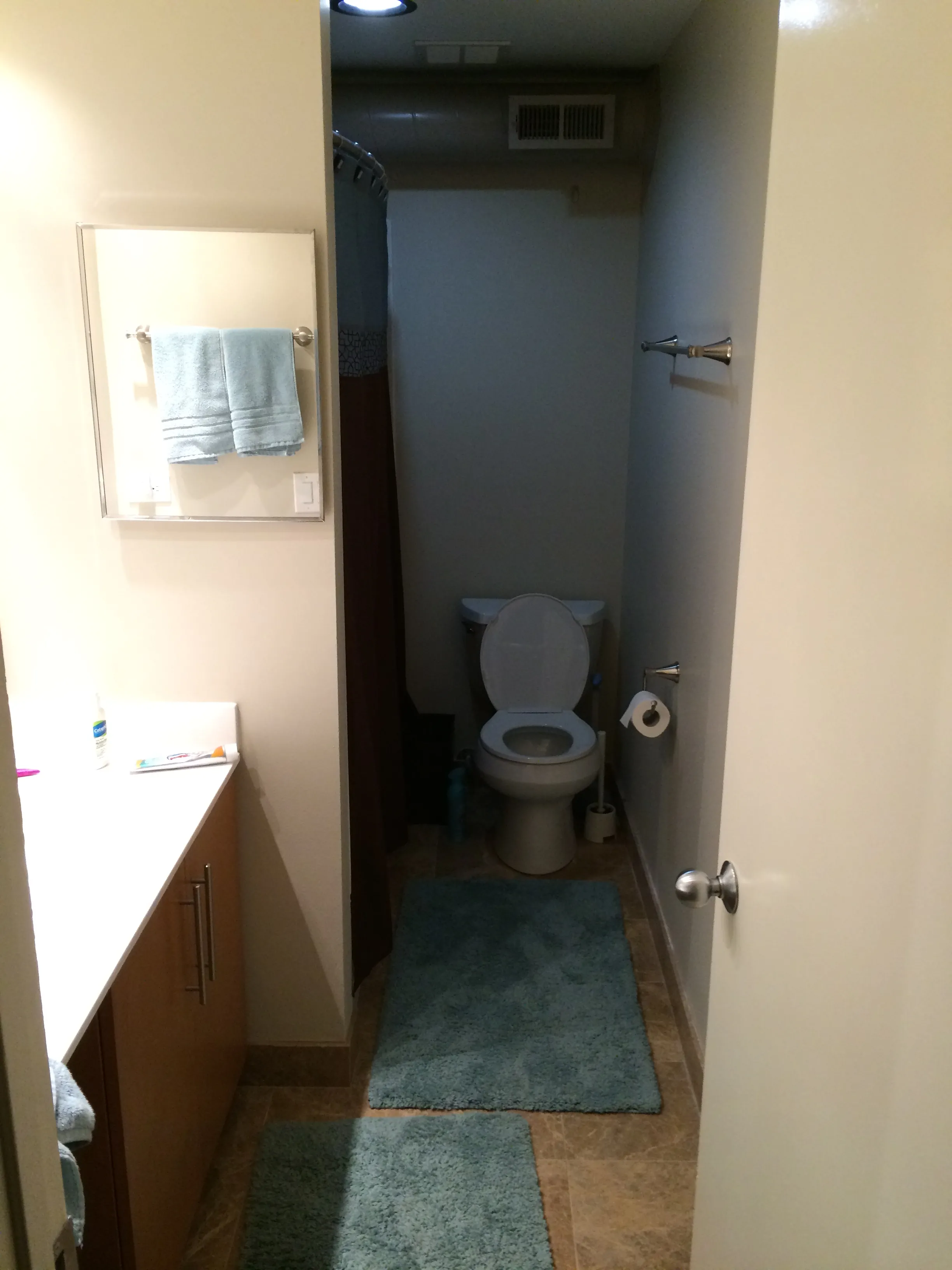 1301 W FLETCHER ST 60657-Brewery Lofts-unit#205-Chicago-IL