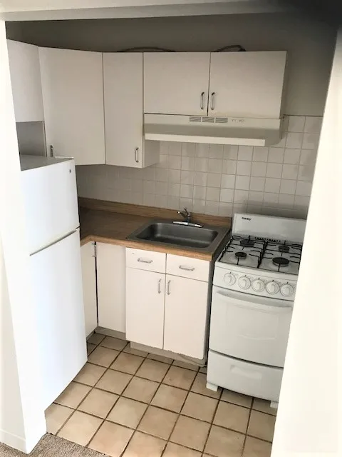 4606 N HERMITAGE AVE 60640-unit#115-Chicago-IL