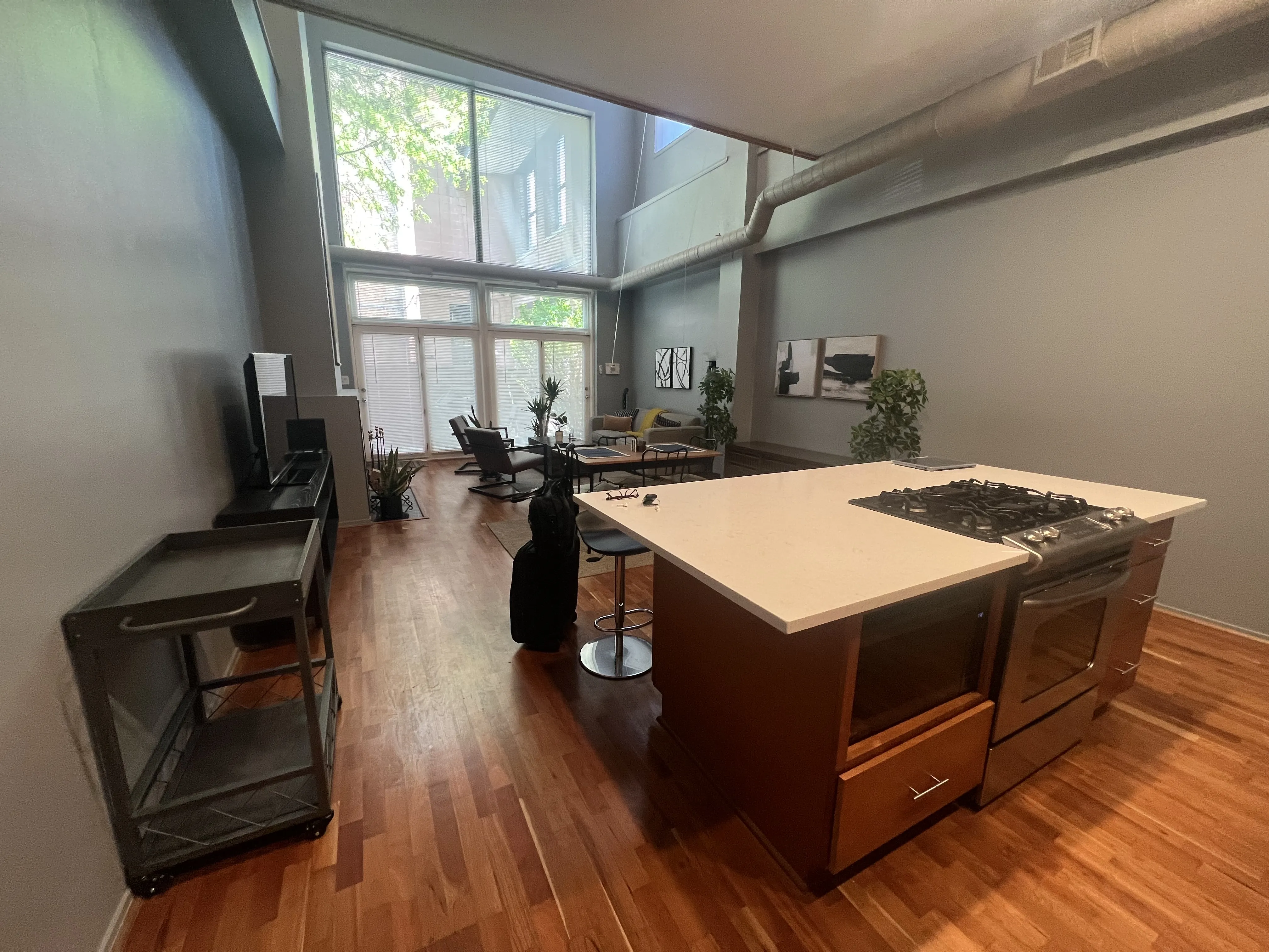 1760 W WRIGHTWOOD AVE 60614-unit#115-Chicago-IL