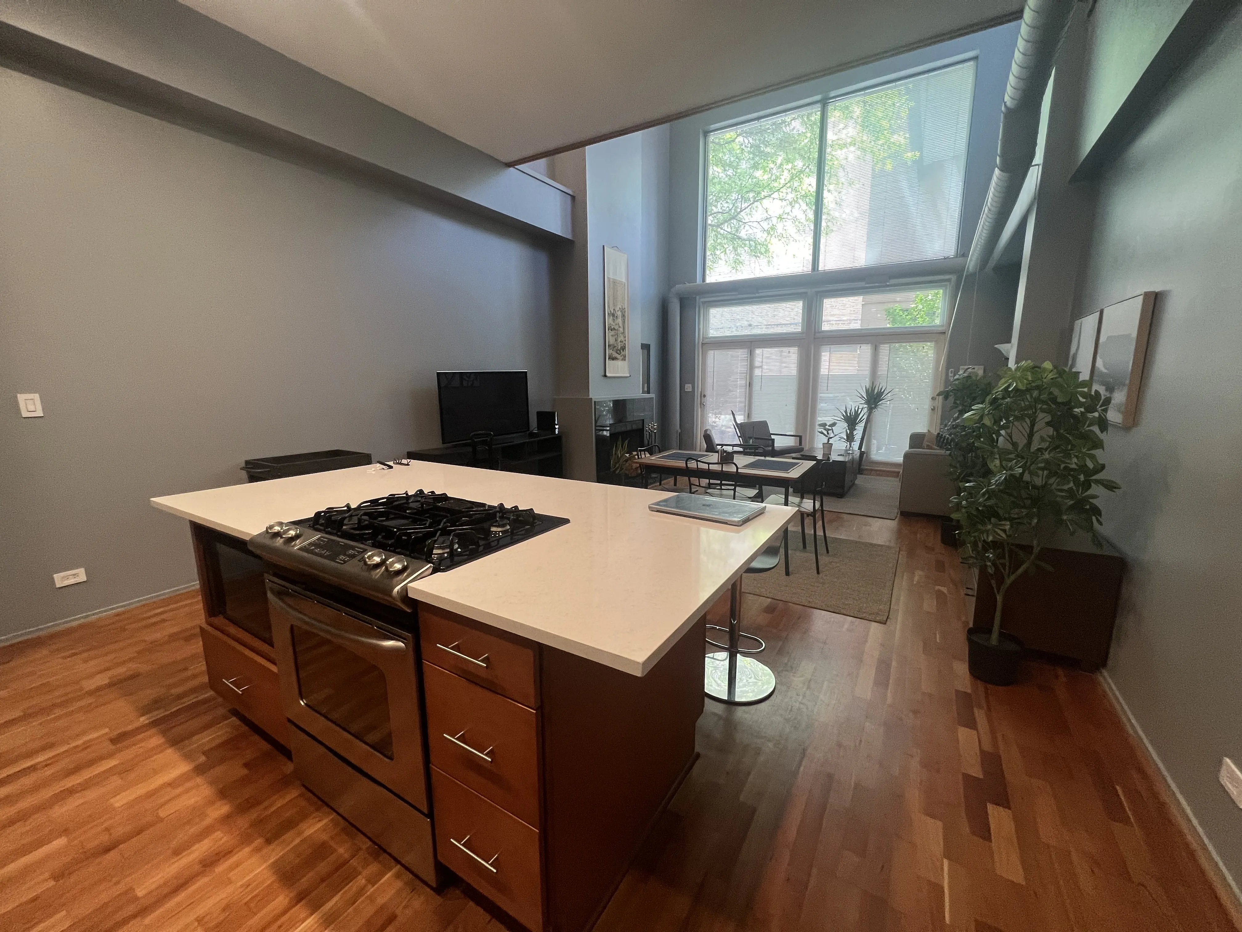 1760 W WRIGHTWOOD AVE 60614-unit#115-Chicago-IL