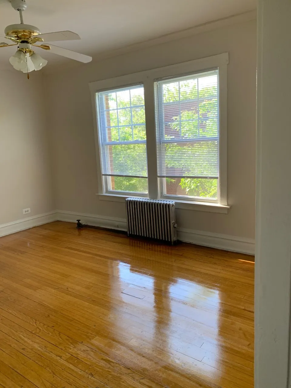 1600 W ALBION AVE 60626-unit#1O-Chicago-IL