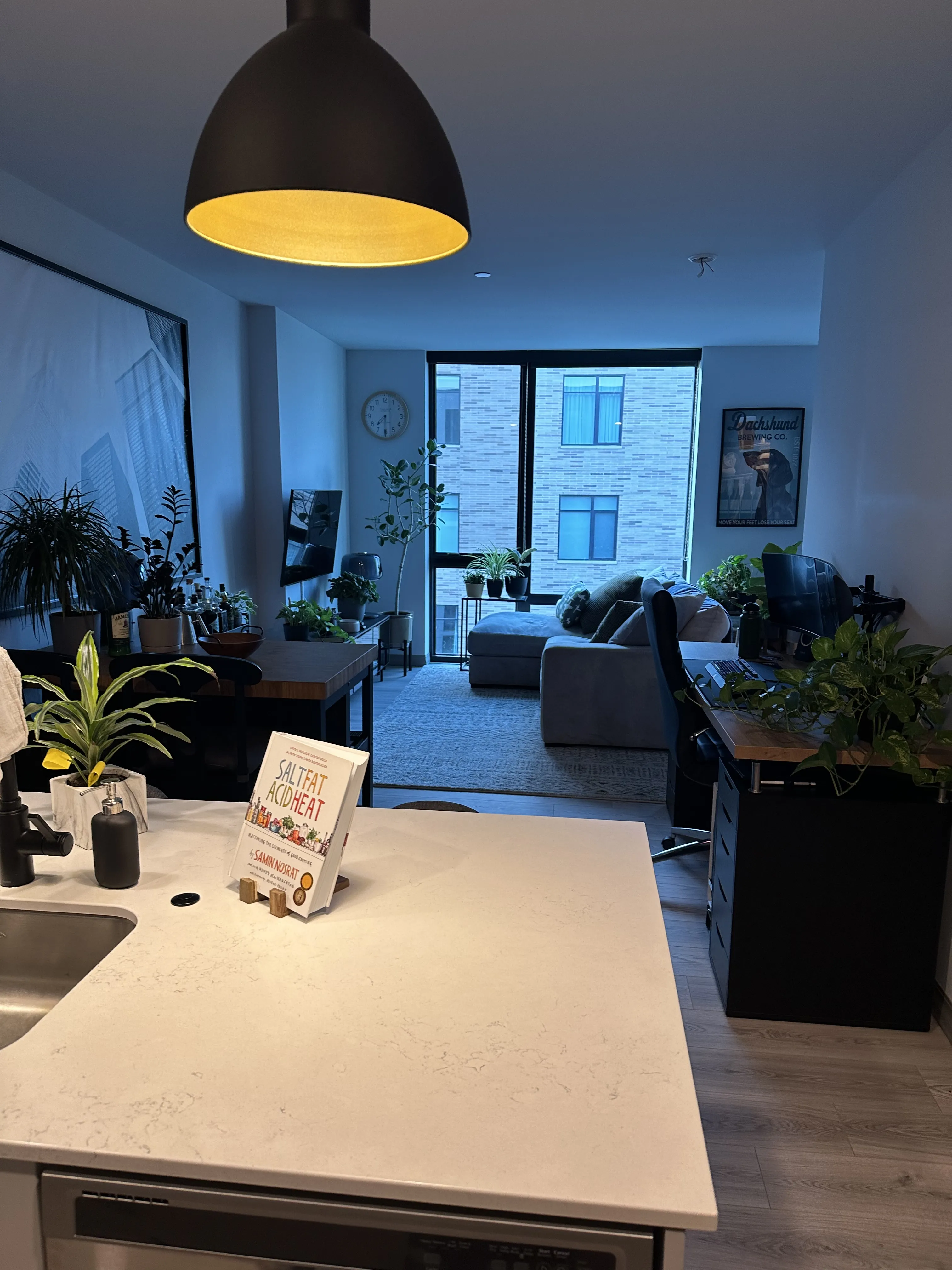 2155 N ELSTON AVE 60614-Triangle Square-unit#663-Chicago-IL