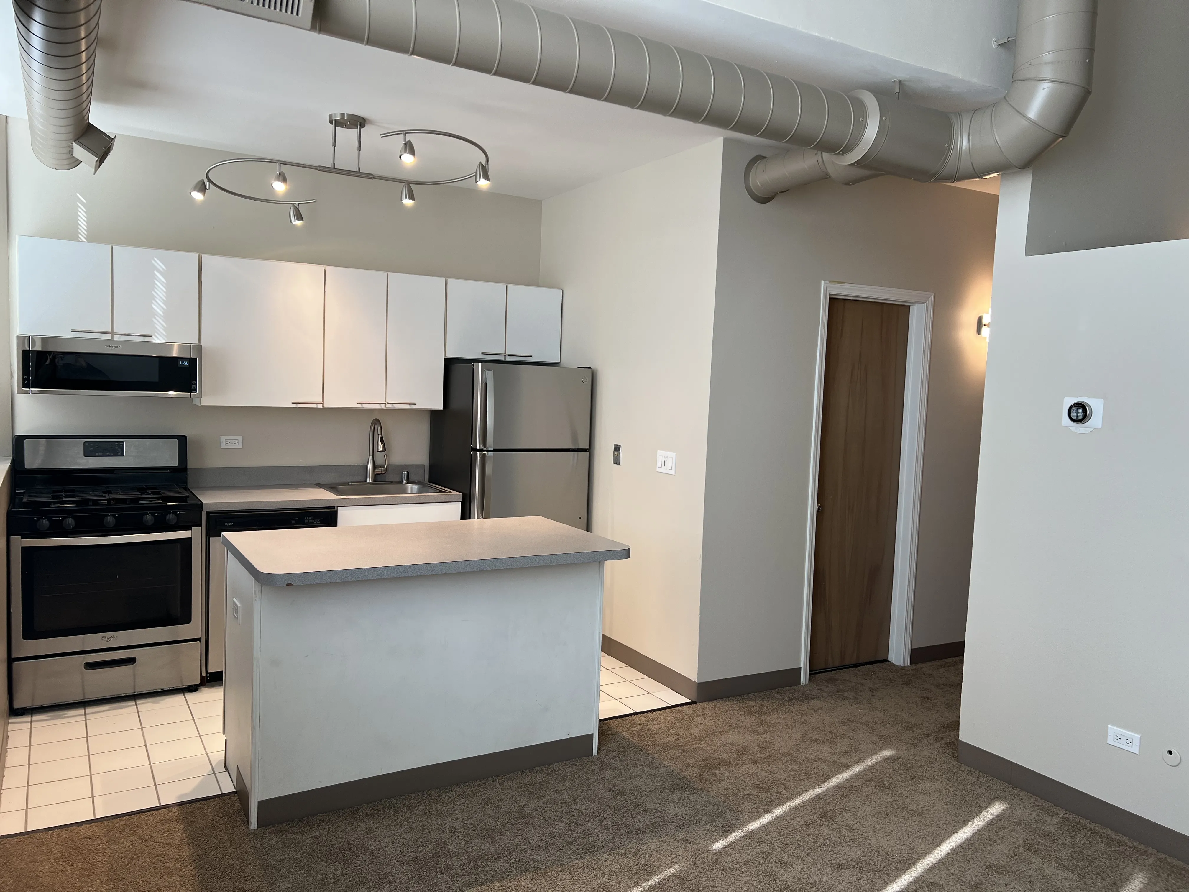3900 N DAMEN AVE 60618-Byron Lofts-unit#302-Chicago-IL