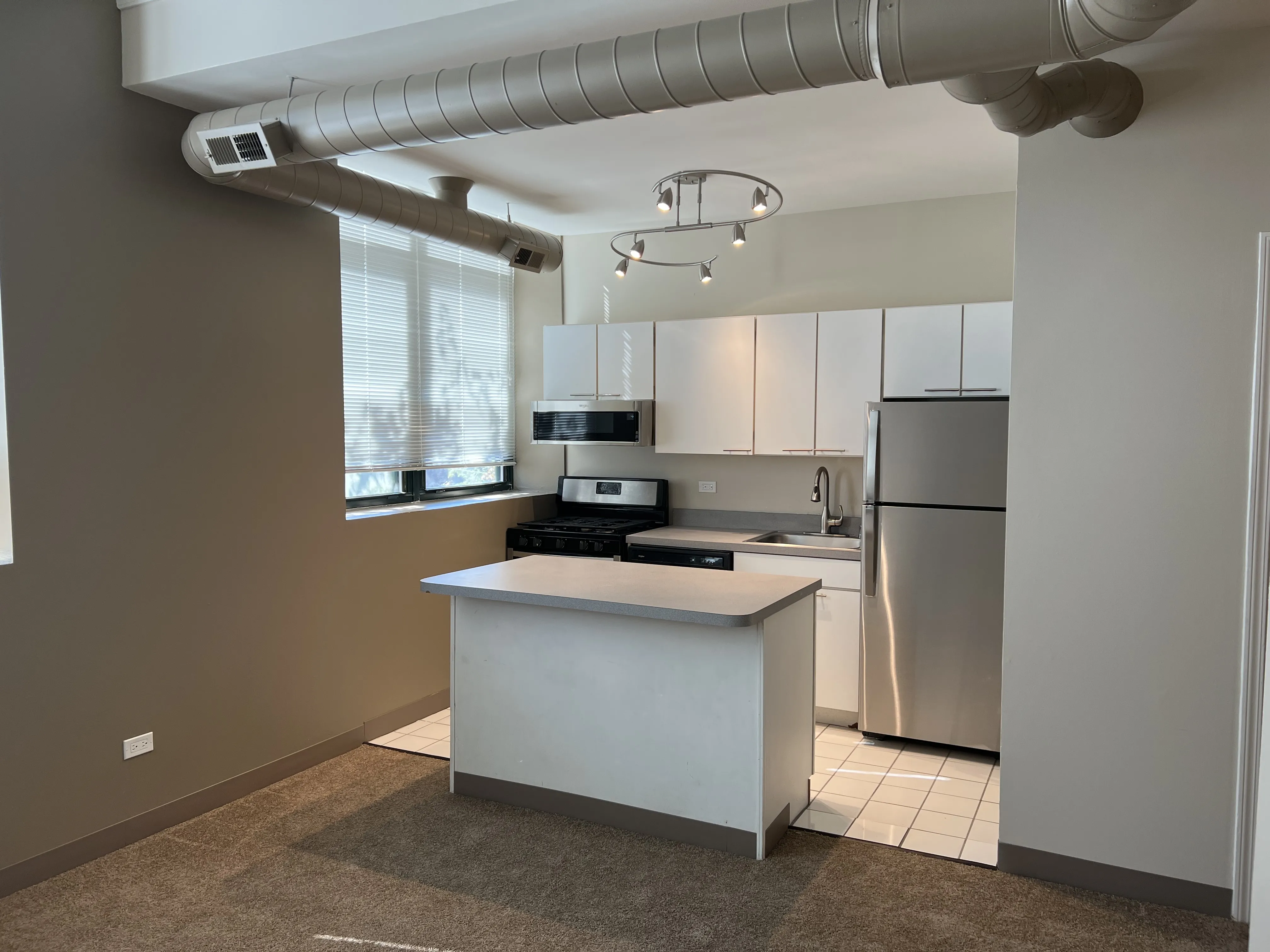 3900 N DAMEN AVE 60618-Byron Lofts-unit#302-Chicago-IL