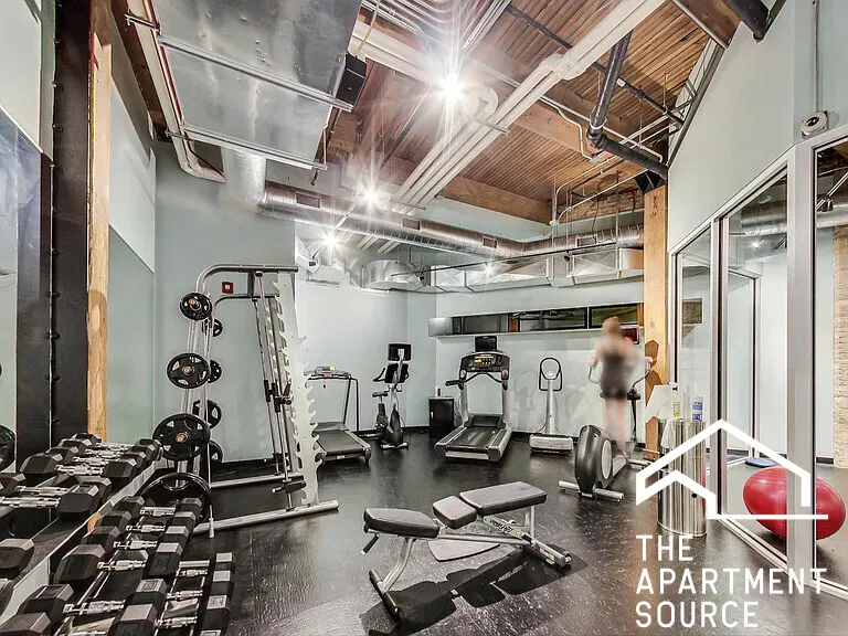 668 N KINGSBURY ST 60654-unit#207-Chicago-IL