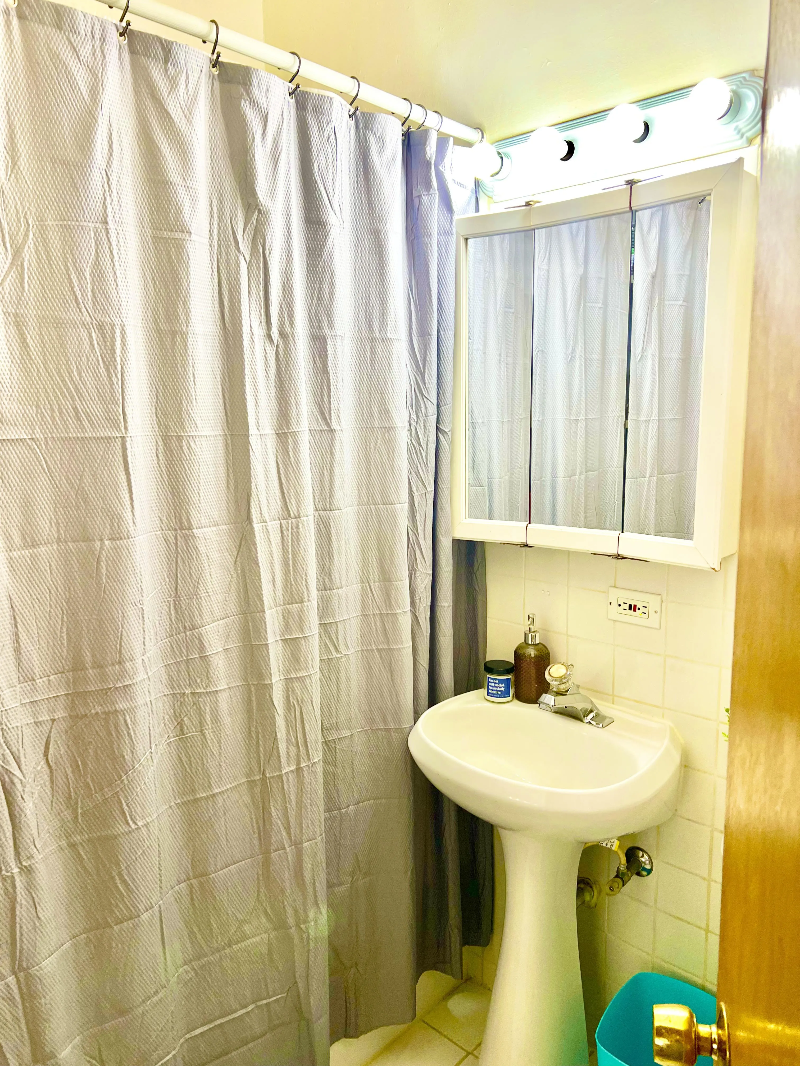 448 W ST JAMES PL 60614-unit#1A-Chicago-IL