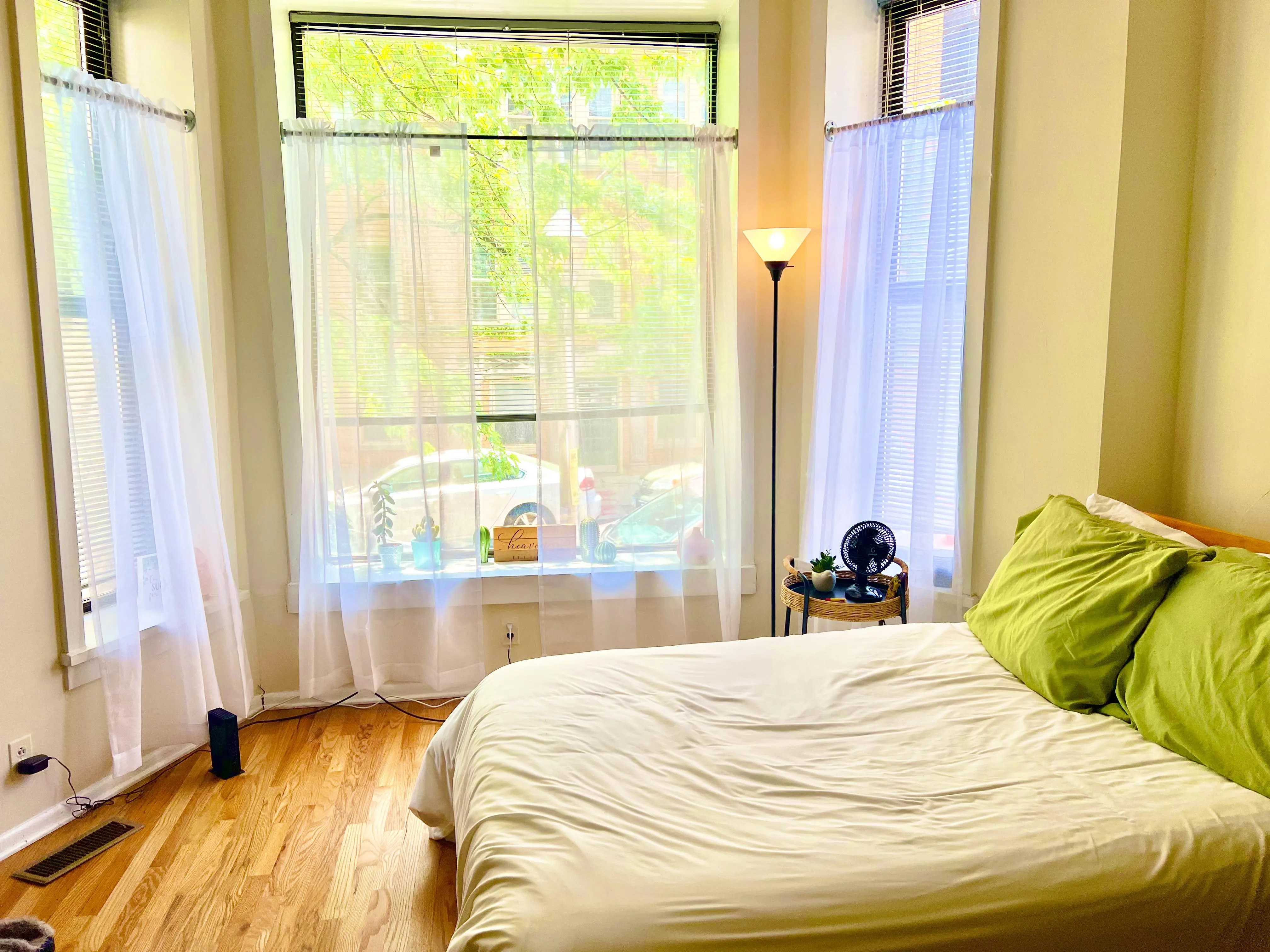 448 W ST JAMES PL 60614-unit#1A-Chicago-IL