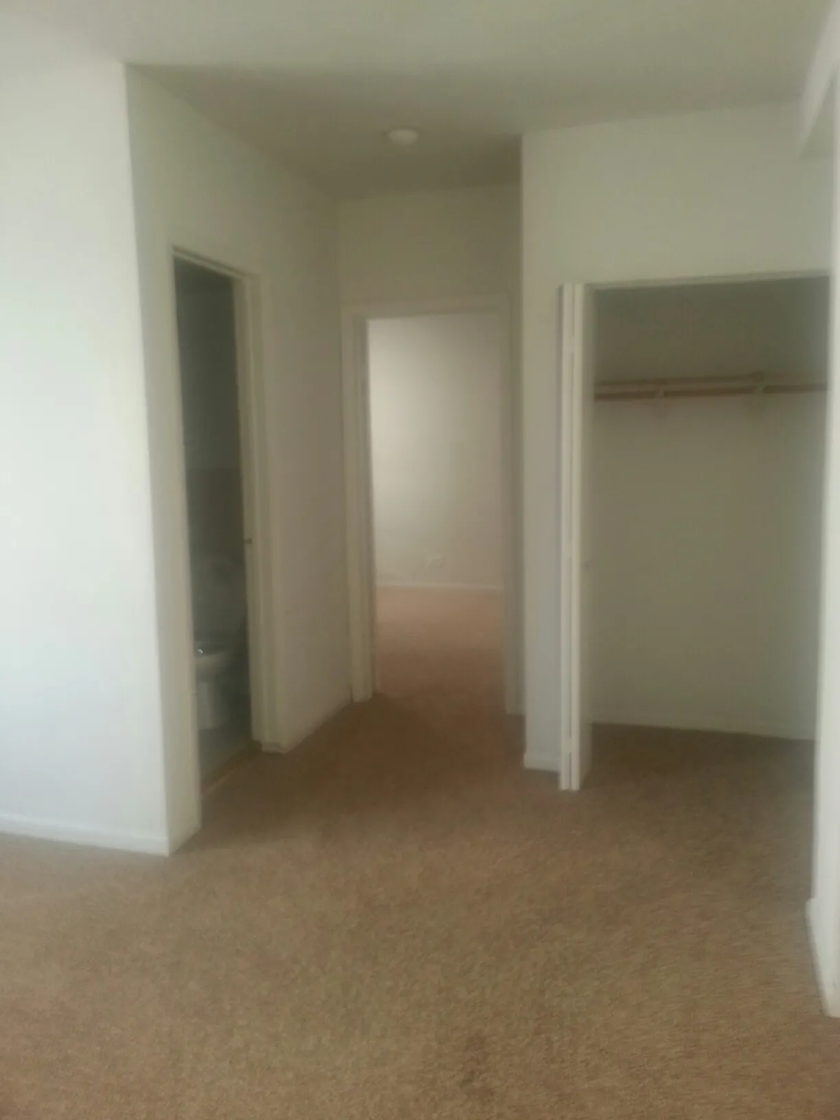 5726 N WINTHROP AVE 60660-unit#305-Chicago-IL