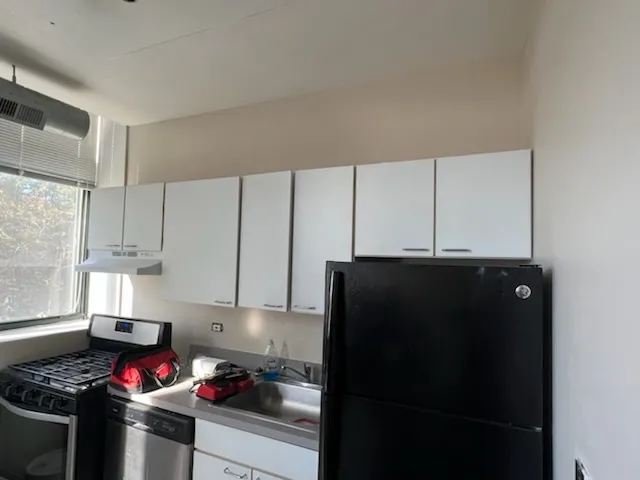 3900 N DAMEN AVE 60618-Byron Lofts-unit#302-Chicago-IL
